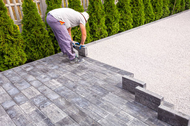Best Driveway Pavers Near Me  in Cherry Brah, NC